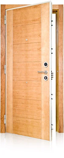 Puerta acorazada CABMA iDom Electrónica